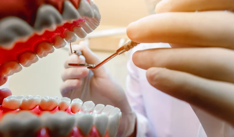 Clinical dental study models